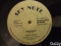 00-va-sky_note_12_inch_(sky_dd0011)-vls-197x-side_a-gully.jpg