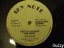 00-va-sky_note_12_inch_(sky_dd0011)-vls-197x-side_b-gully.jpg