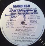 00_-_VA_-_Allform_-_Mandingo_Hot_Steppers_LP_-_label_A.jpg