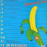 General_Echo_-_1980_-_12”_Of_Pleasure_B.jpg