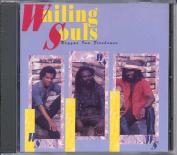 Wailing_Souls_-_Reggae_Ina_Firehouse_-_Front.jpg