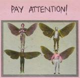 Pay_Attention_!.jpg