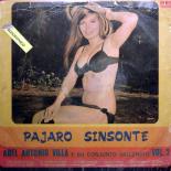 Abel_Antonio_Villa_Pajaro_Sinsonte_front.jpg