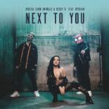 Becky_G_–_Next_To_You.jpg